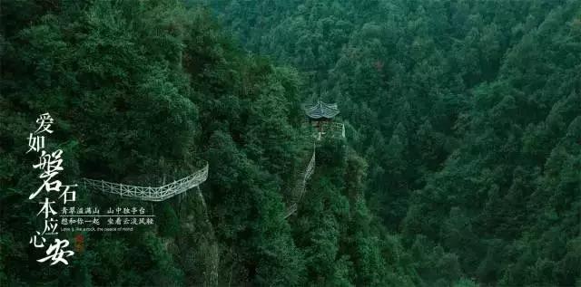 缤纷水果茶无敌版